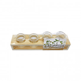 Set 4 eprubete in suport din lemn, diametru 3 cm