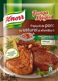 Knorr PM Friptura de porc cu afumatura 29G