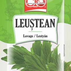 CIO Leustean 6G