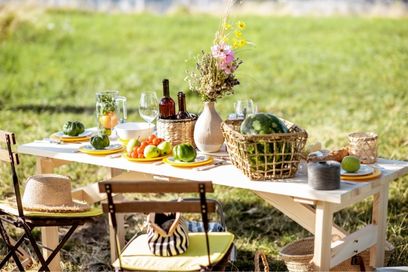 Mese de gradina