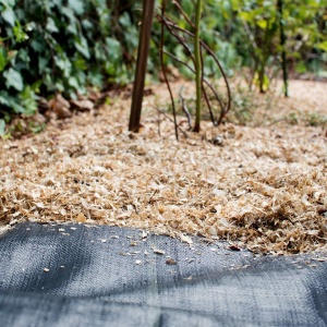 Folie agrotextila Navaris, antiburuieni, polipropilena, permeabila, rezistenta la UV, 100 g/m², 2 x 25 m, 50 m², Negru - Img 8