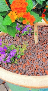 Argila expandata Humusziegel, XL, 10 l, pentru plante cu intretinere limitata - Img 2