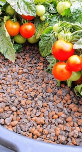 Argila expandata Humusziegel, XL, 10 l, pentru plante cu intretinere limitata - Img 3