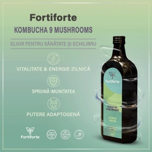 Otet balsamic KOMBUCHA 9 MUSHROOMS PREMIUM VINEGAR, Fortiforte, 500ml - Img 2