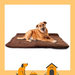 Perna confortabila pentru animale de companie, Vitazoo, 100 x 70 cm, Autoincalzire, Lavabila, Antiderapanta,