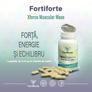 Supliment alimentar TRIBULUS TERRESTRIS Xforce Muscular MASS, Fortiforte, 60 capsule - Img 4