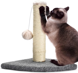 Stalp de zgariat pentru pisici cu jucarie bila pufoasa, Pfotenolymp, sisal, 34 x 26 cm - Img 4
