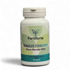 Supliment alimentar TRIBULUS TERRESTRIS Xforce Muscular MASS, Fortiforte, 60 capsule