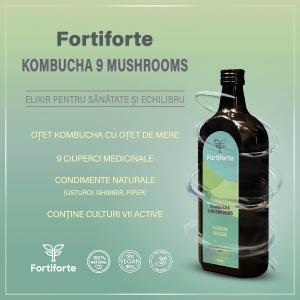Otet balsamic KOMBUCHA 9 MUSHROOMS PREMIUM VINEGAR, Fortiforte, 500ml - Img 3