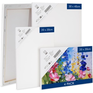 Set 4 panze pentru pictura H&S, 2 dimensiuni, 30x40cm, 20x30cm, tesatura din bumbac 100%, potrivit pentru vopsea acrilica/ulei/acuarele
