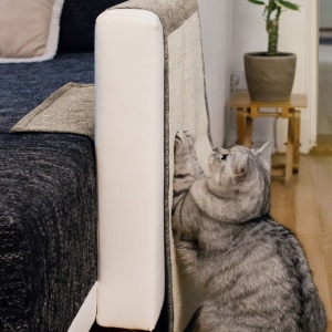 Protectie impotriva zgarieturilor pentru Pisici, 60x45 cm, Sisal, Maro, 48412.24.02