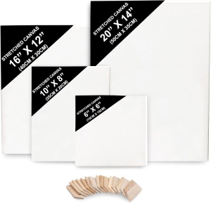 Set 4 panze pentru pictura, Belle Vous, tesatura din bumbac grunduit, 16 pene din lemn, dimensiuni mixte, potrivite pentru vopsele acrilice si uleioase, Alb