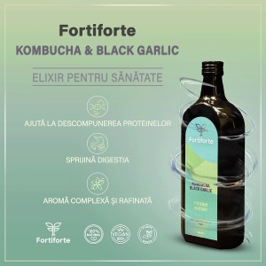 Otet balsamic KOMBUCHA BLACK GARLIC PREMIUM VINEGAR, Fortiforte, 500ml - Img 2