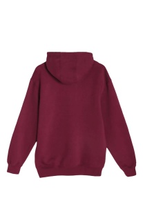 PREMIUM PULLOVER HOODIE - Img 24