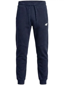 Pantaloni sport bărbați 4F Arena