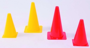 TRAINING CONE