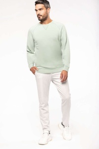MEN'S ORGANIC COTTON CREW NECK RAGLAN SLEEVE SWEATSHIRT - Img 11