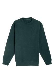 PREMIUM CREWNECK SWEATSHIRT - Img 43