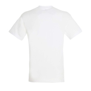 SOL'S REGENT - UNISEX ROUND COLLAR T-SHIRT - Img 128