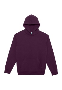 ELEMENT HOODIE - Img 3
