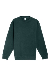 PREMIUM CREWNECK SWEATSHIRT - Img 24