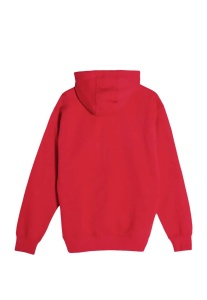 PREMIUM PULLOVER HOODIE - Img 33