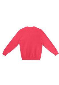 PREMIUM CREWNECK SWEATSHIRT - Img 14