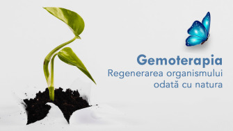 GEMOTERAPIA – Regenerarea organismului odata cu natura