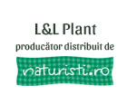 L&L Plant