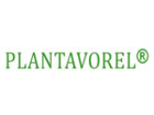 PlantaVorel