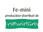 Fe-mini