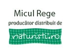 Micul Rege