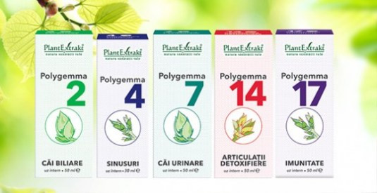 Gama Polygemma - Extracte complexe