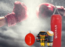 Profesionale - Box, protectie