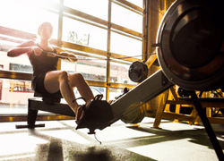 Aparate de vaslit Waterrower