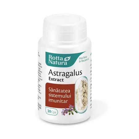 Astragalus Extract - 30 cps