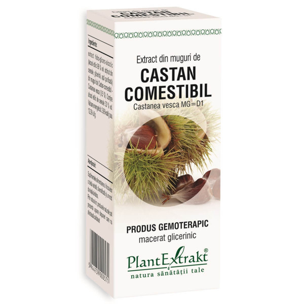 Extract din muguri de castan comestibil 50 ml (CASTANEA VESCA)