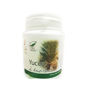 Yucca - 200 cps