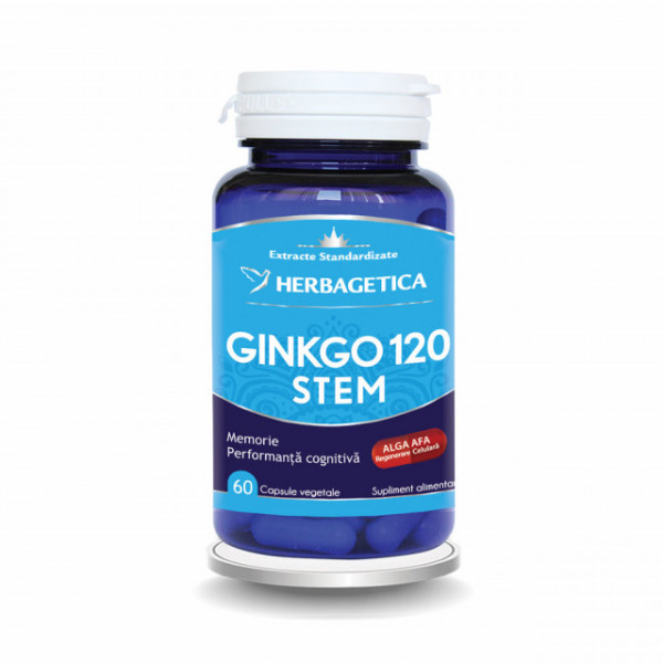 Ginkgo 120 STEM 60 cps