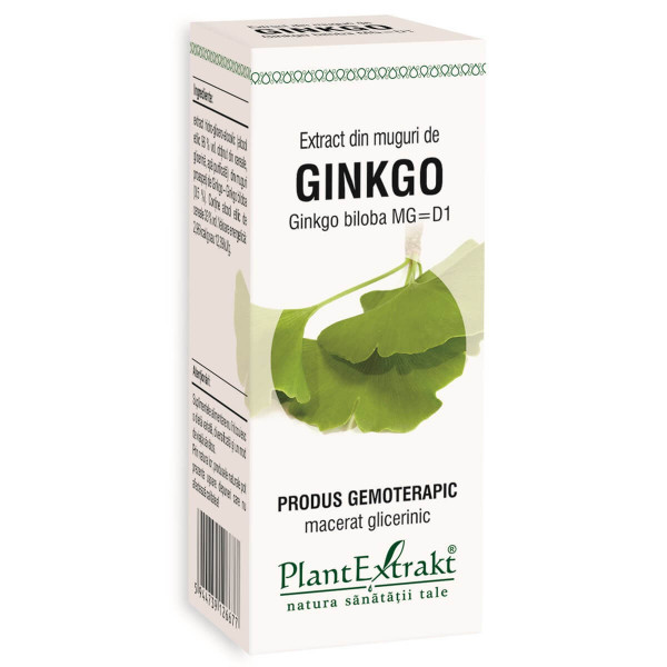 Extract din muguri de ginkgo (GINKGO BILOBA)