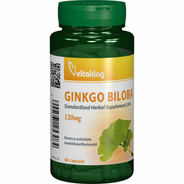 Ginkgo Biloba Forte 120 mg - 60 cps