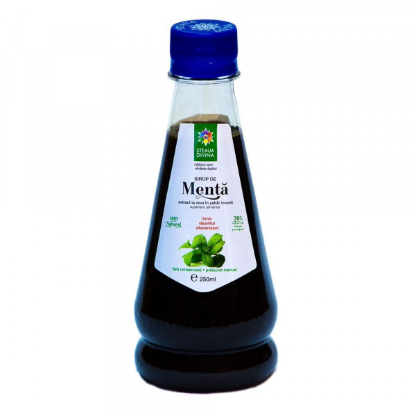 Sirop de Menta - 250 ml