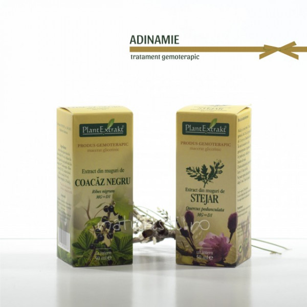 Tratament naturist - Adinamie (pachet)