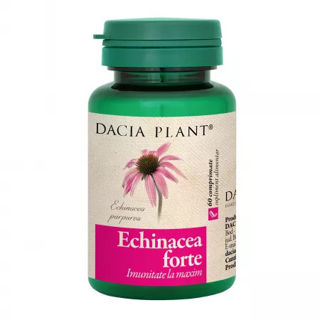 Echinacea Forte - 60 cpr