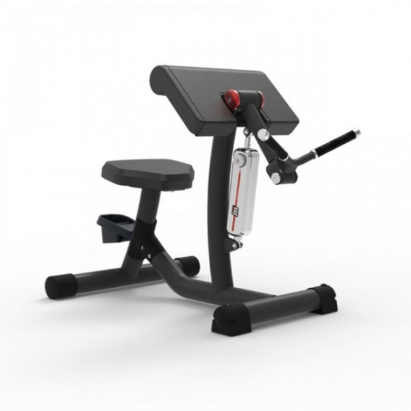 Aparat recuperare extensie biceps/triceps RL8103