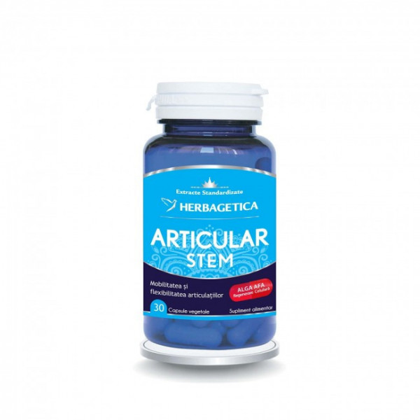 Articular STEM 30 cps