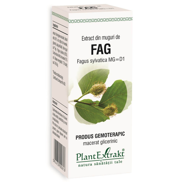 Extract din muguri de fag (FAGUS SYLVATICA)
