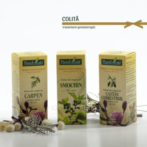Tratament naturist - Colita (pachet)