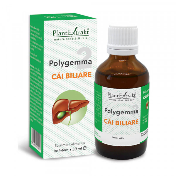 Polygemma nr. 2 - Cai biliare