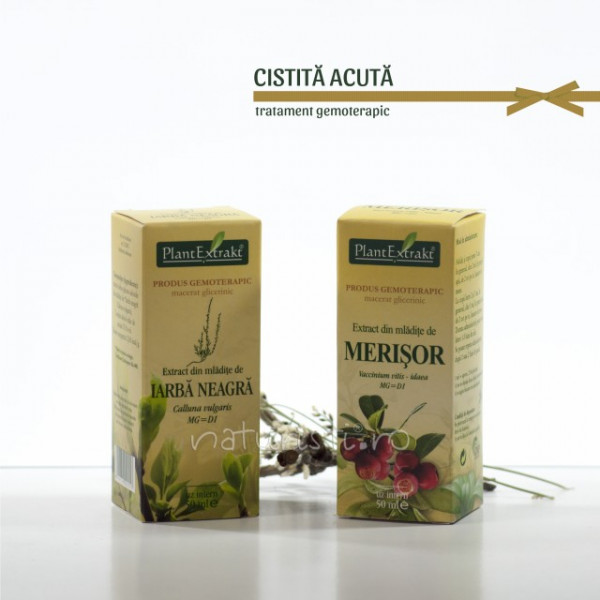 Tratament naturist - Cistita acuta (pachet)